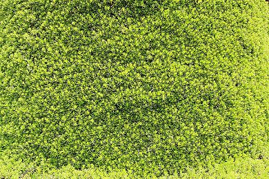 《七日杀》Steam玩家在线峰值突破12万 开发商表示震惊